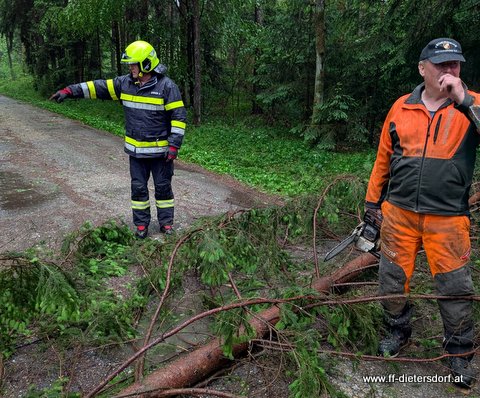 Unwetter und Sturmböen