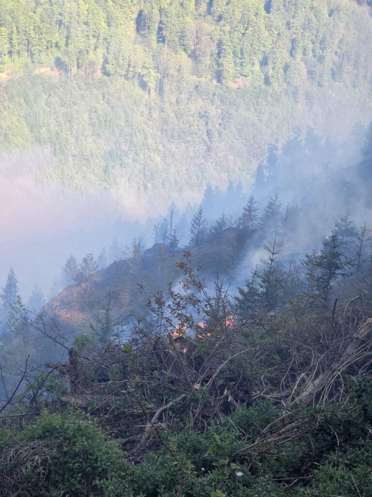 KHD-Einsatz beim Waldbrand in Gratwein-Straßengel