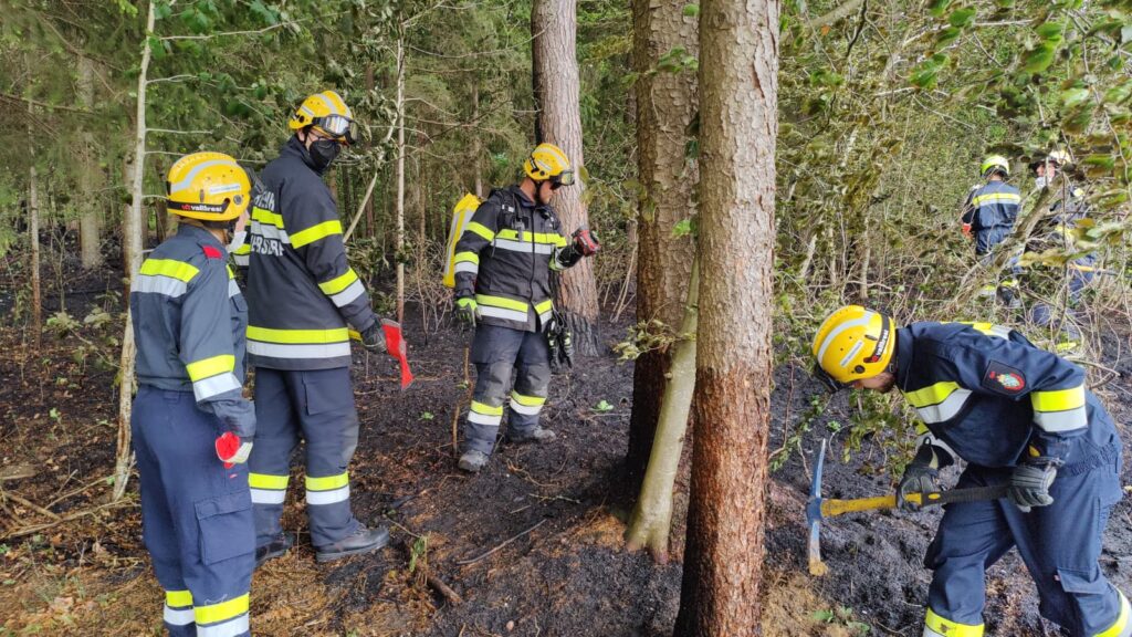 Waldbrand in Söchau, Ortsteil Aschbach